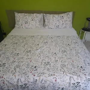 Tra Gianicolo E Trastevere Bed and breakfast